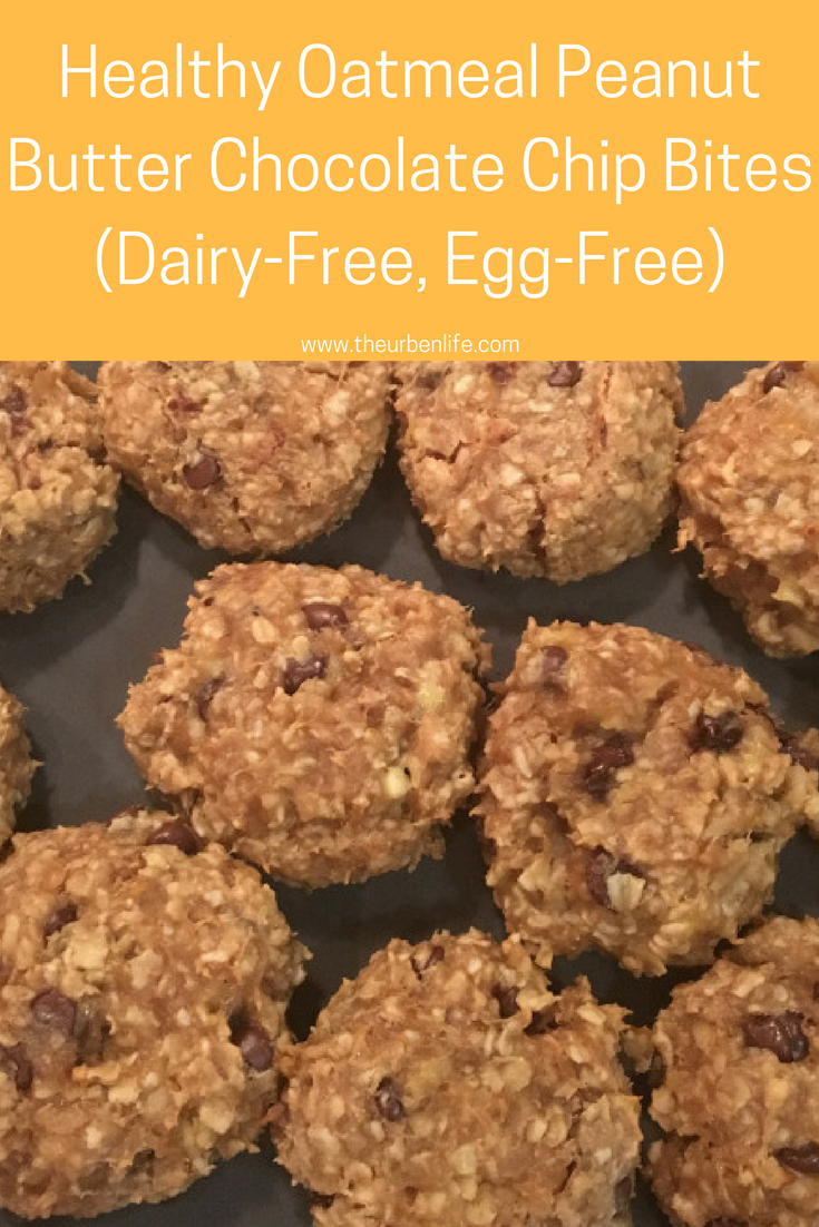 Healthy Oatmeal Peanut Butter Chocolate Chip Bites
