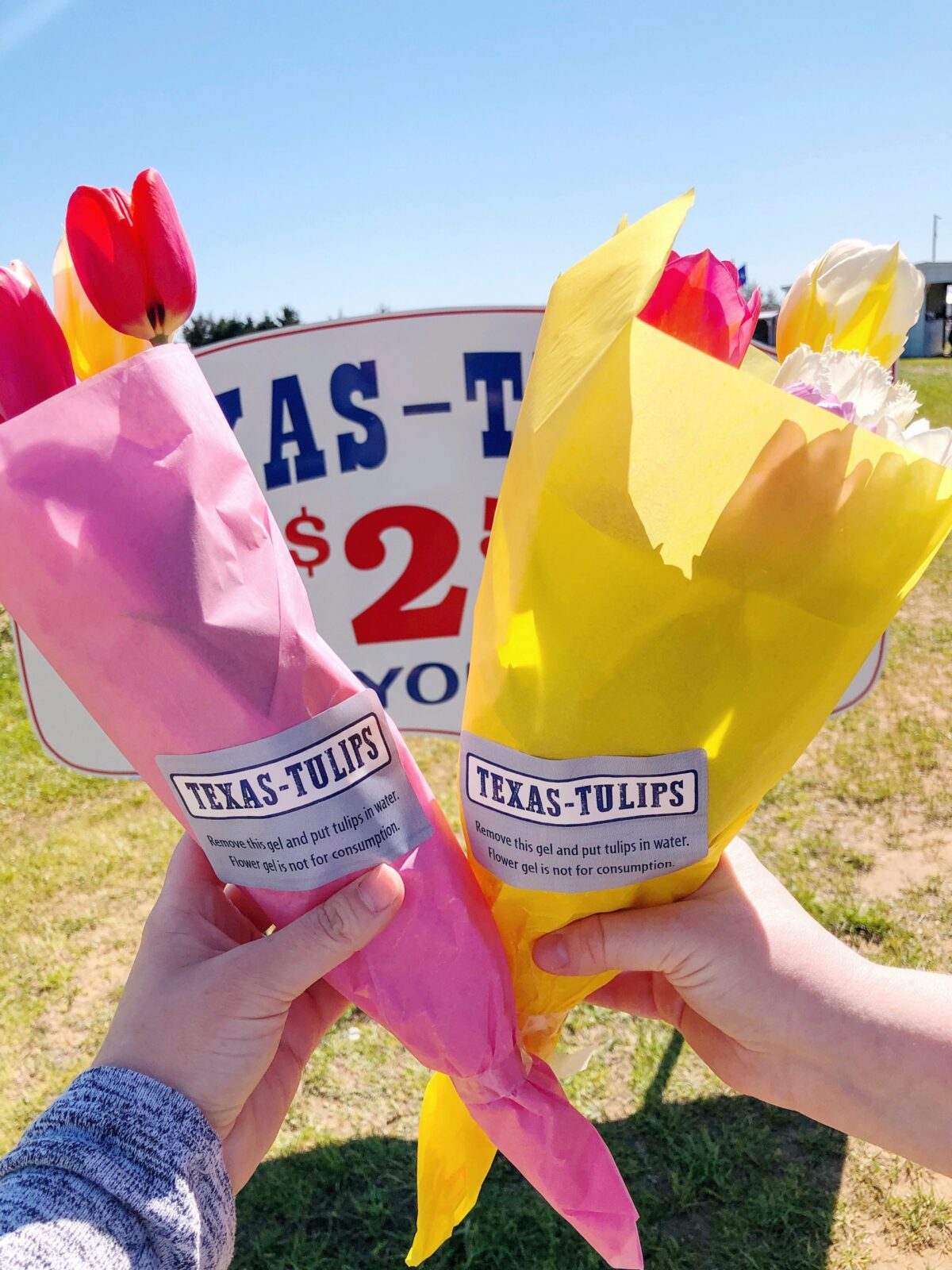 Looking for a fun and affordable outdoor activity for all ages? Travel about an hour north of Dallas, to visit Texas-Tulips!