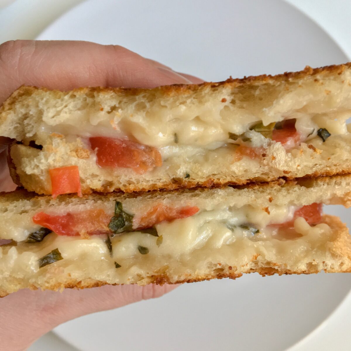Dairy Free Grilled Cheese