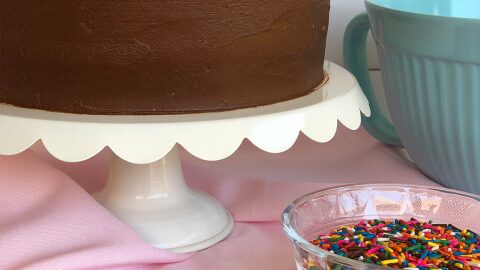 Dairy-Free and Egg-Free Vanilla Cake with Chocolate Frosting