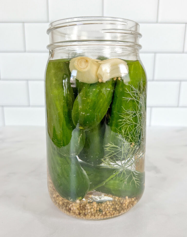 Homemade Polish Dill Pickles Recipe The Urben Life
