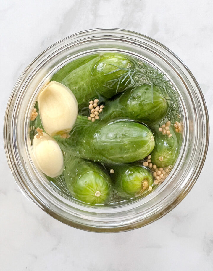 Homemade Polish Dill Pickles Recipe The Urben Life