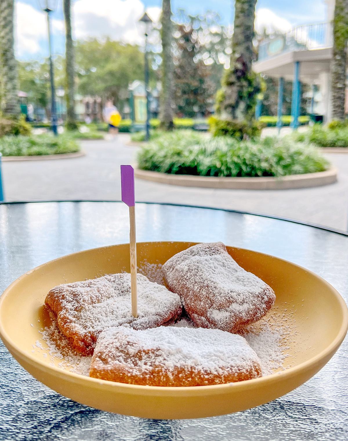 vegan allergy friendly Scat Cats Club beignets.