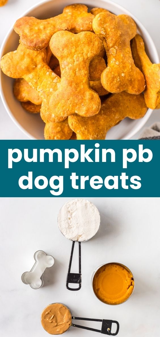 pumpkin peanut butter dog treats