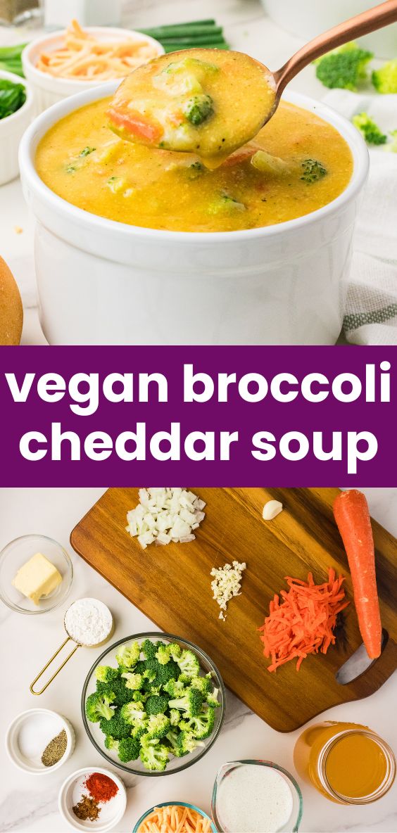 vegan broccoli cheddar cheese soup